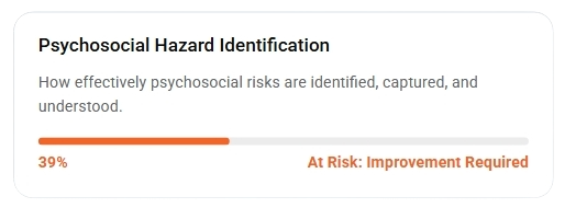 Psychosocial Hazard Identification