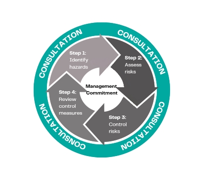 Four step psychosocial risk management process: identify hazards, assess risks, control risks, review control measures, with consultation required at every step and management commitment at the centre